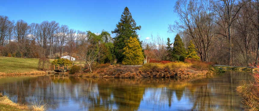 Brookside Gardens et ses nombreux jardins accessibles en métro