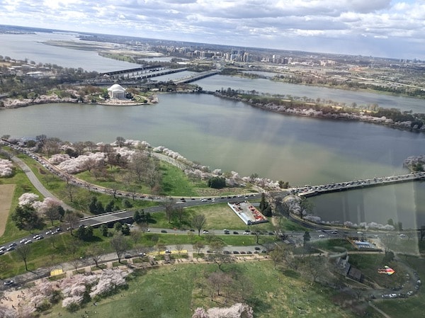 Vue du Bassin Tidal, des cerisiers en fleur et du Jefferson Memorial depuis le haut du Washington Monument