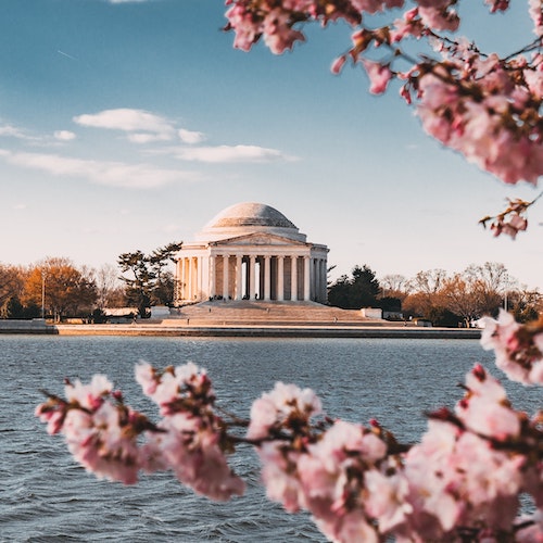 Le Mémorial Jefferson à Washington